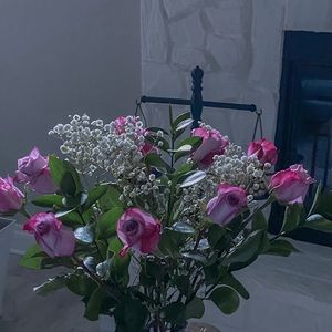 Meet your Posher, Karina